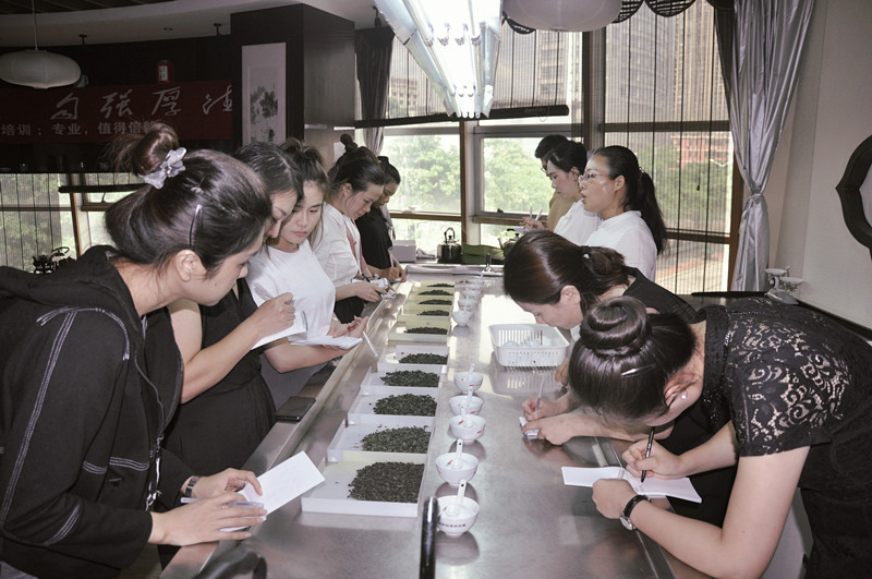 免费的茶艺师培训能学到什么