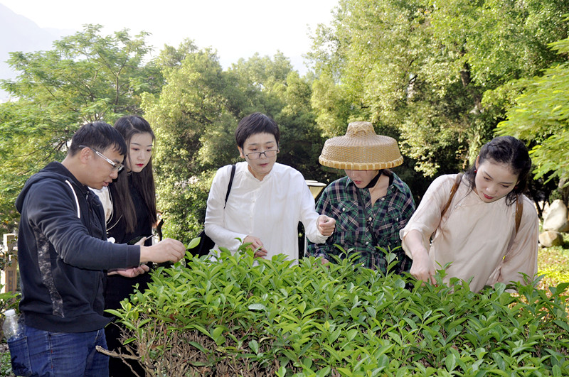 茶艺师培训一般多少钱?
