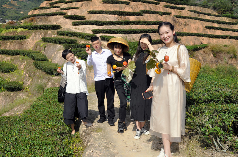 茶艺师培训